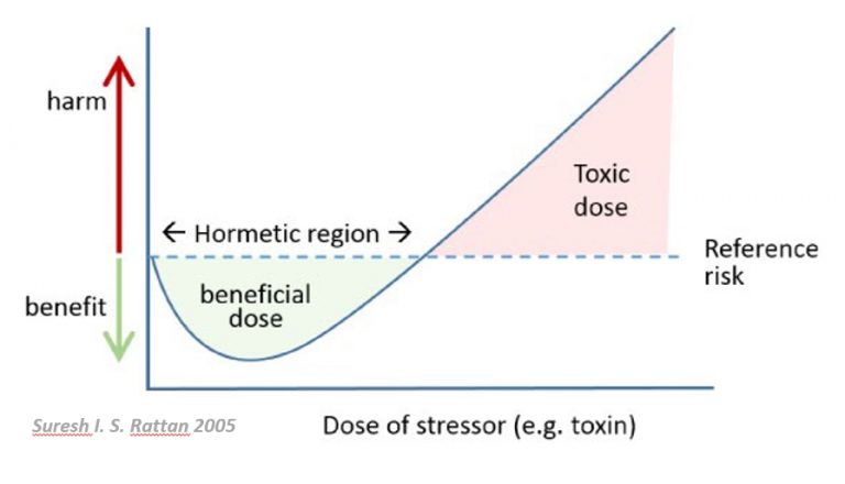 Antroterapia - Ormesi termale
