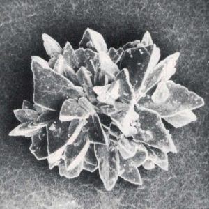 Grotta Giusti Diving - Speleo 1984 - fig8