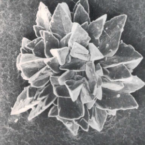 Grotta Giusti Diving - Speleo 1984 - fig9